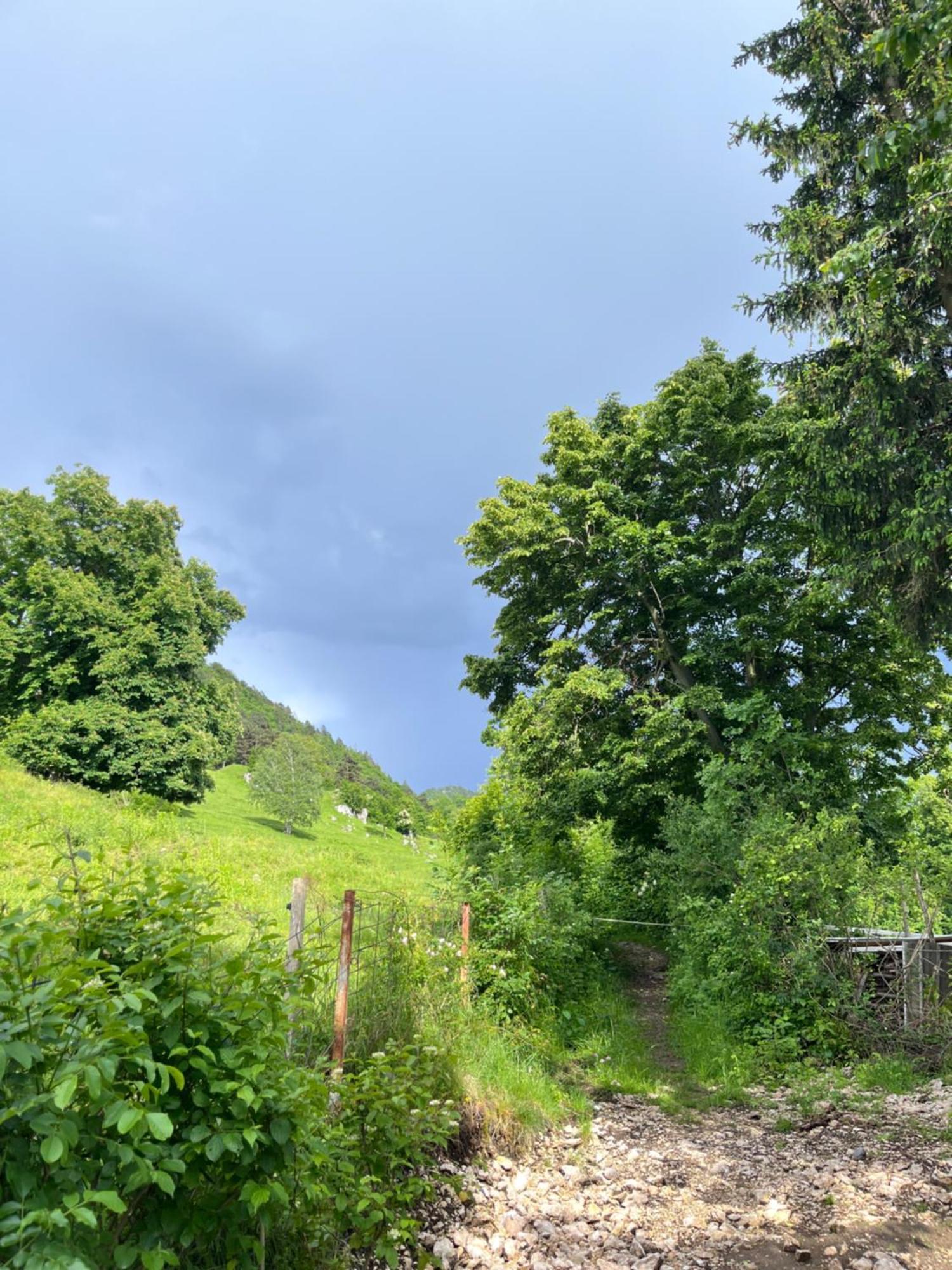 Cottage Zirovnica ภายนอก รูปภาพ