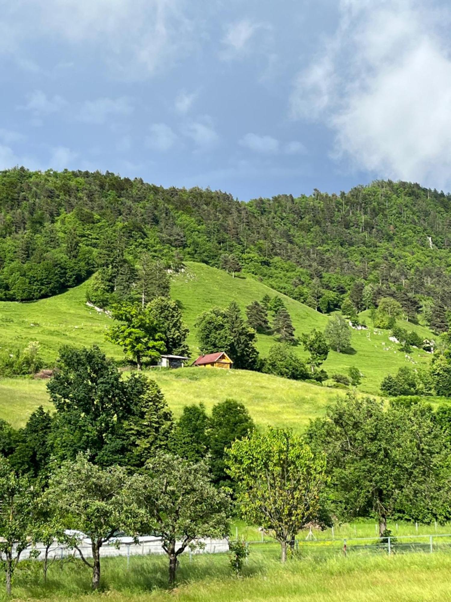 Cottage Zirovnica ภายนอก รูปภาพ