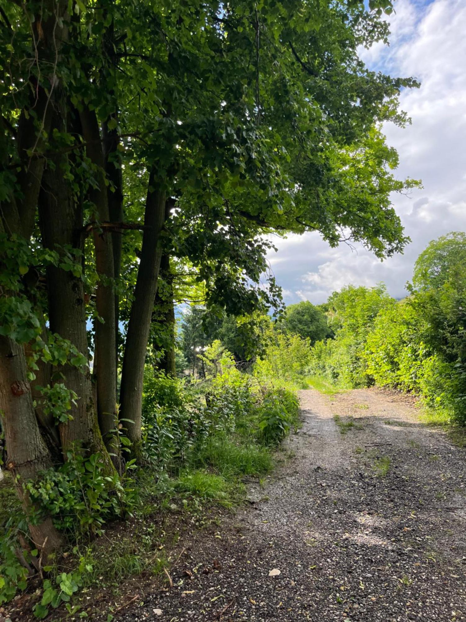 Cottage Zirovnica ภายนอก รูปภาพ