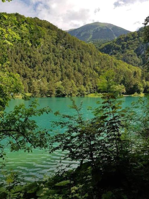 Cottage Zirovnica ภายนอก รูปภาพ